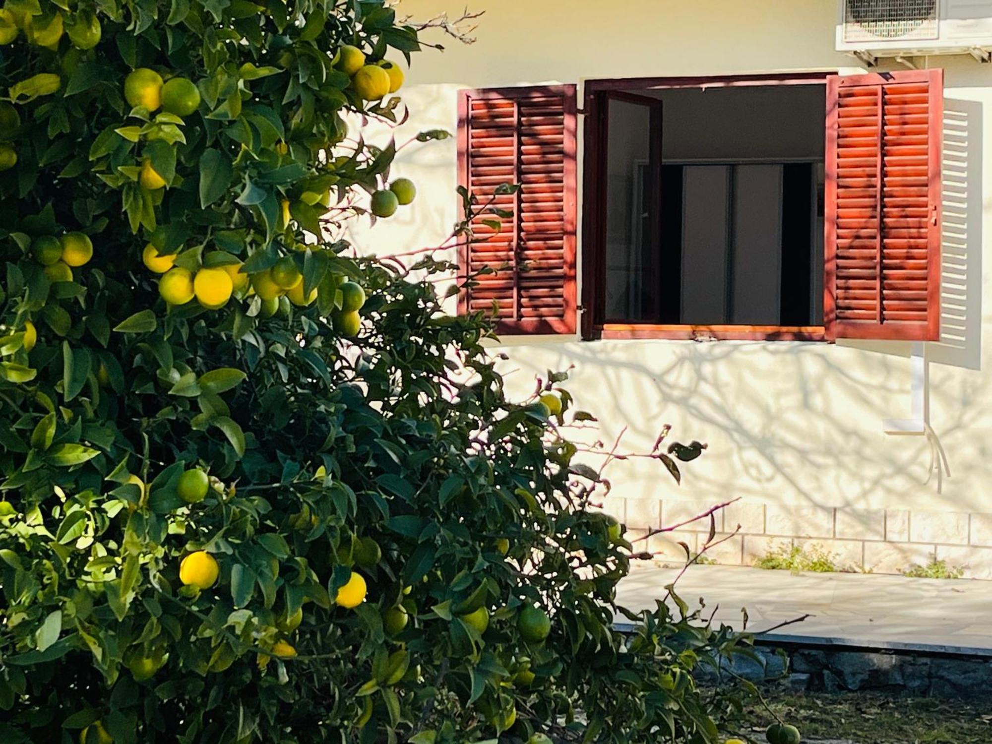Beachfront Drazen, With Garden And Parking Apartament *
